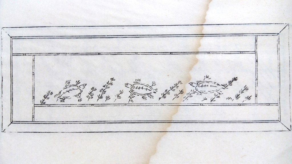 襖・格子・組子・欄間のイラスト