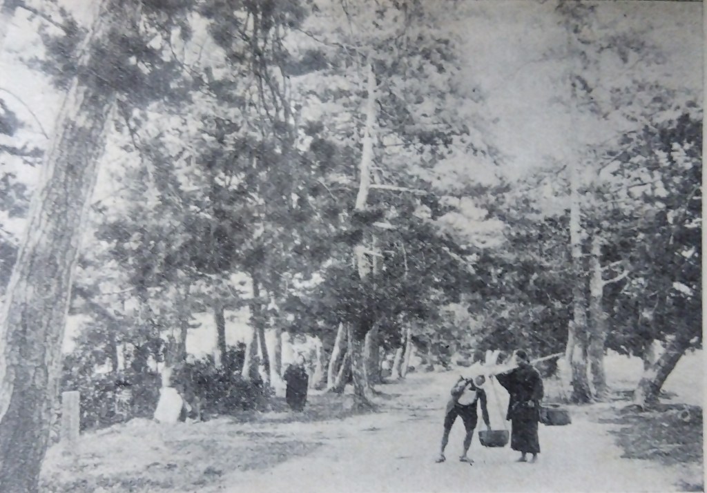 明治時代　天橋立の写真